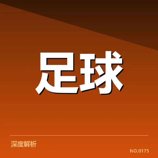 萨格勒布迪纳摩球迷群体的基本构成
